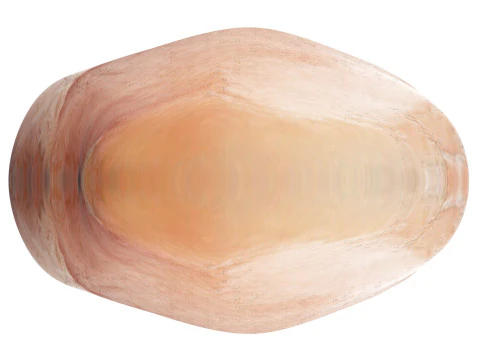 Chicken Breast 3D Model