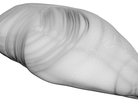 Chicken Breast 3D Model