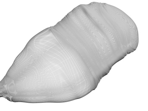 Chicken Breast 3D Модель
