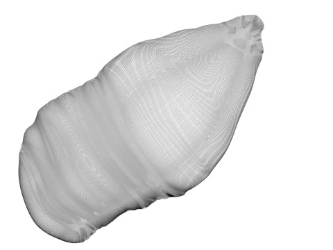 Chicken Breast 3D Model
