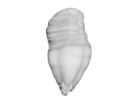 Chicken Breast 3D Модель