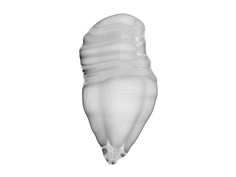 Chicken Breast 3D Model