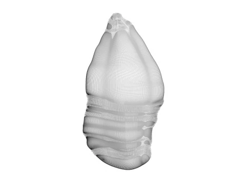 Chicken Breast 3D Model