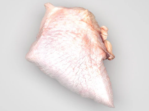 Chicken Hip Meat 3D Model