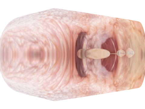 Chicken Hip Meat 3D Modell
