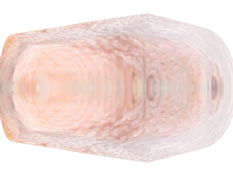 Chicken Hip Meat 3D Modell
