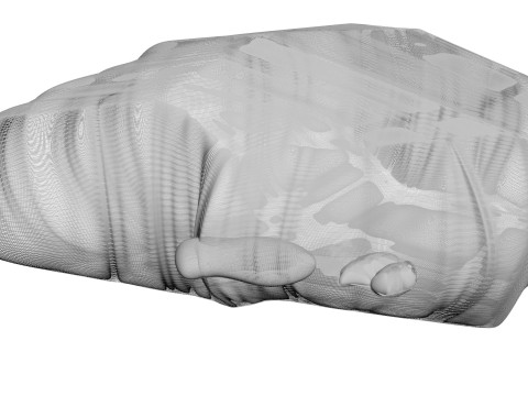Chicken Hip Meat 3D Modell