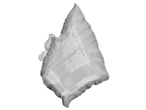 Chicken Hip Meat 3D Modell