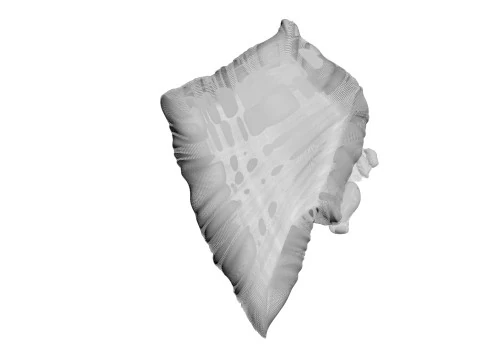 Chicken Hip Meat 3D Model