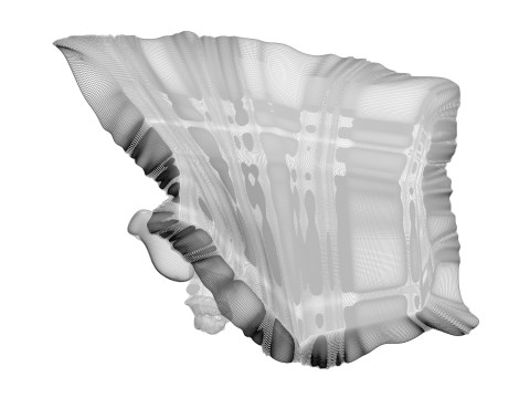 Chicken Hip Meat 3D Modell