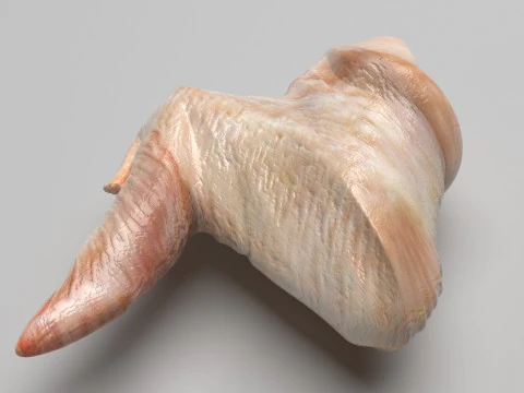 Chicken Meats Collection 3D Model