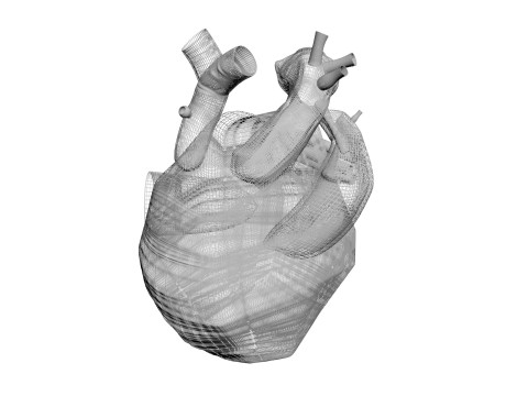 Human Heart 3D-Modell