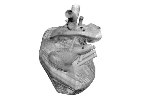 Human Heart 3D-Modell