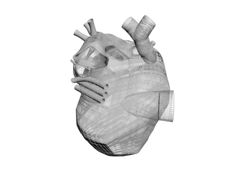 Human Heart 3D-Modell