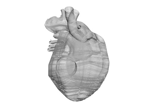 Human Heart 3D-Modell