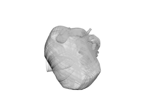 Human Heart 3D-Modell