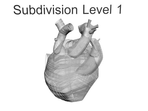 Human Heart 3D-Modell