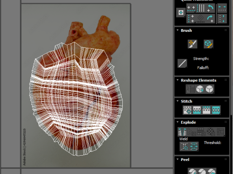 Human Heart 3D-Modell