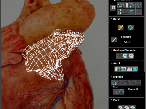 Human Heart 3D-Modell