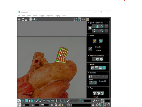 Human Heart 3D-Modell