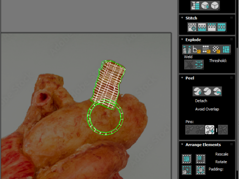 Human Heart 3D-Modell