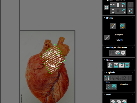 Human Heart 3D-Modell