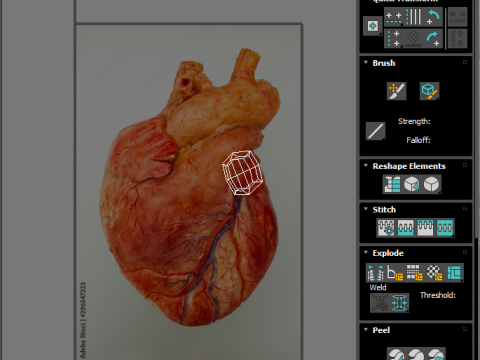 Human Heart 3D-Modell