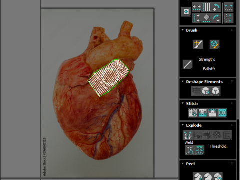 Human Heart 3D-Modell