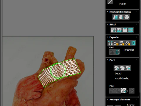 Human Heart 3D Model