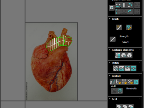 Human Heart 3D-Modell