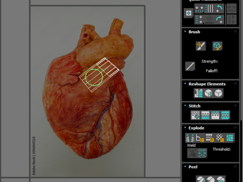 Human Heart 3D-Modell