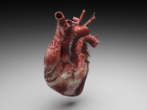 Human Heart 3Dモデル