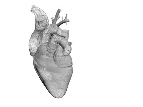 Human Heart Modello 3D