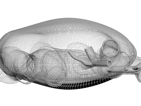 Human Heart Modello 3D