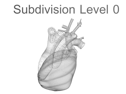 Human Heart Modello 3D