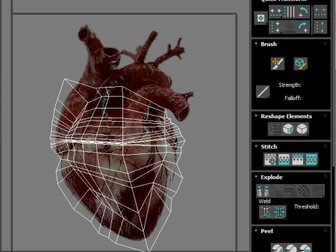 Human Heart Modello 3D
