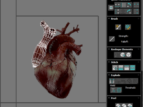 Human Heart Modello 3D