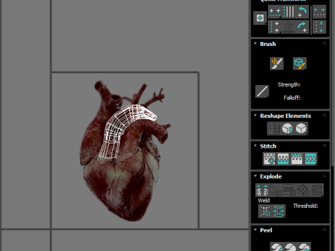 Human Heart Modello 3D