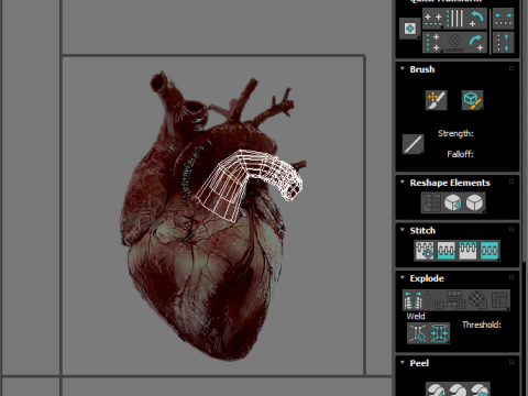Human Heart Modello 3D