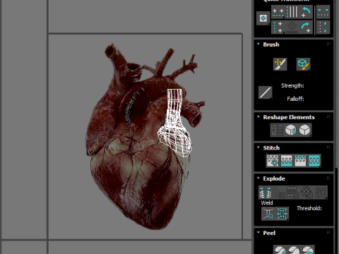 Human Heart Modello 3D