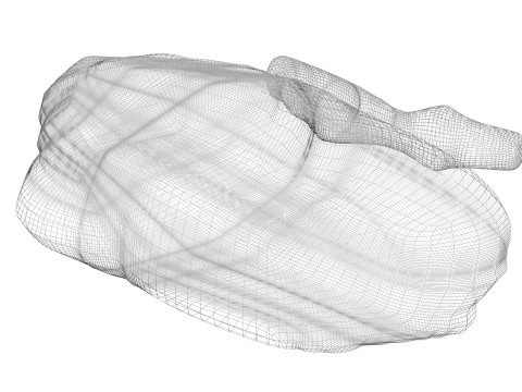 Kidneys Modelo 3D