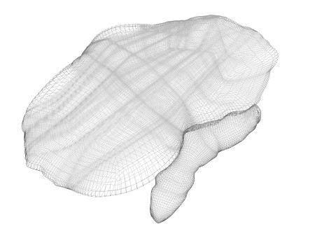 Kidneys Modelo 3D