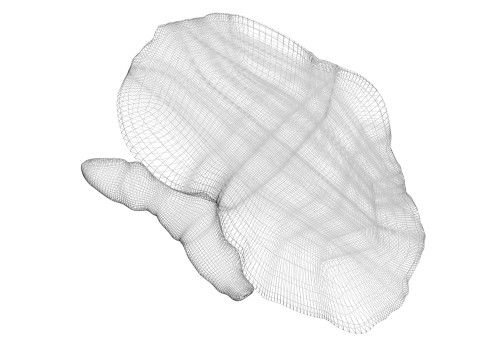Kidneys Modelo 3D
