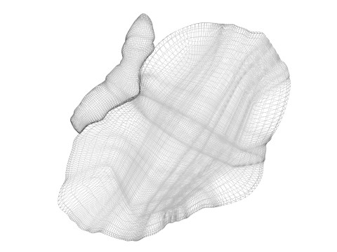 Kidneys Modelo 3D