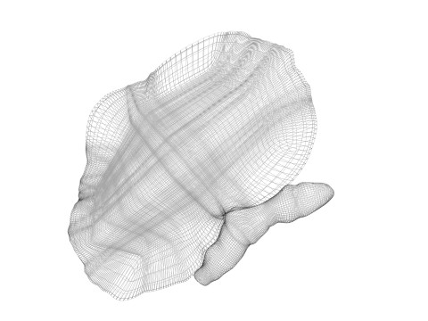 Kidneys Modelo 3D