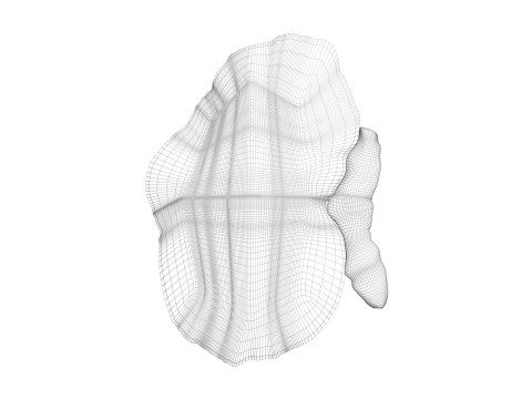 Kidneys Modelo 3D