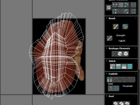 Kidneys Modelo 3D