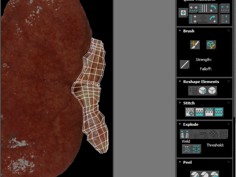 Kidneys Modelo 3D