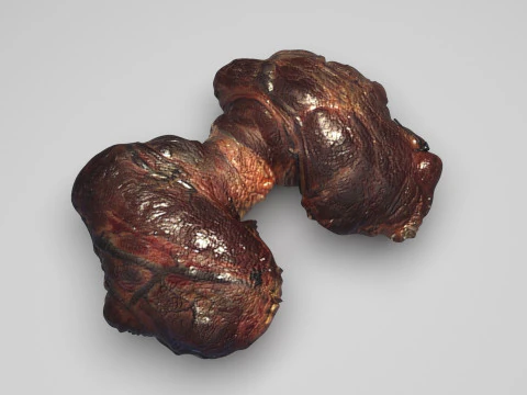 Kelenjar Tiroid Model 3D