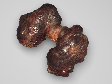 Thyroid Gland Model 3D